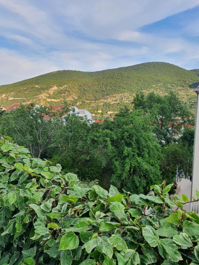 Apartment Rita Mokošica Eksteriør billede